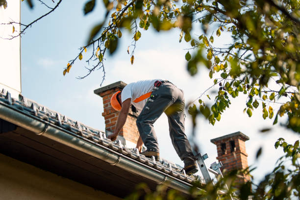 Professional Roofing Contractor in Greenville, TX